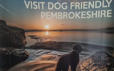 Dog Friendly Walking Holidays